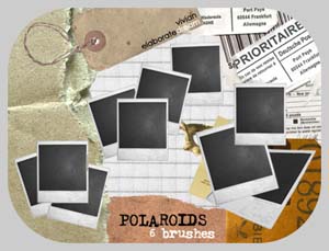 POLAROIDS brushes 
