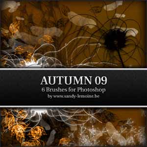 Automn 09 