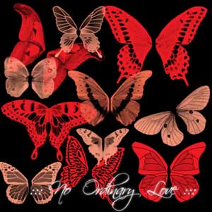 Butterfly Wings Brushes